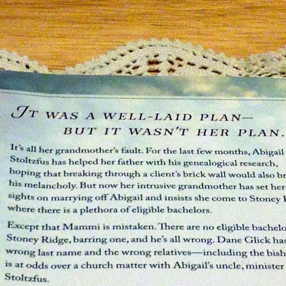 3 for $10 book sale! Amish - The Quieting, Bishops Family #2 - Picture 4 of 7